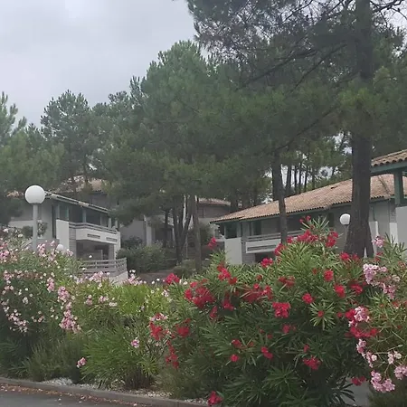 A Deux Pas De L Ocean Lägenhet *