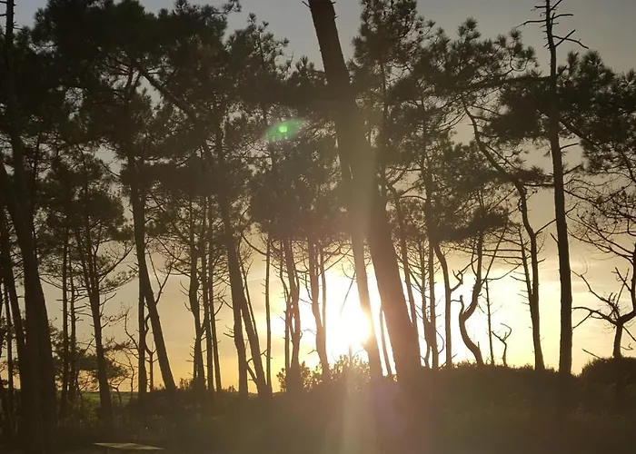 Apartamento A Deux Pas De L Ocean